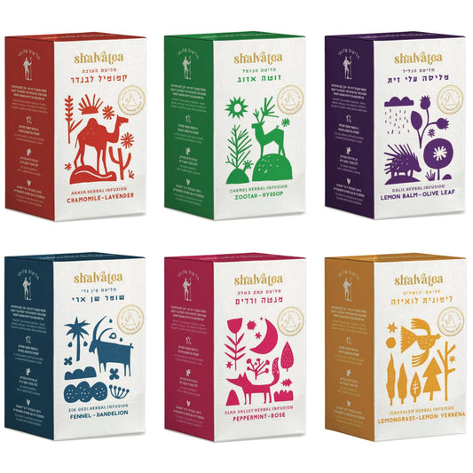 Six Boxes of ShalvaTea (Buy 2 or more sets for 20% off!)