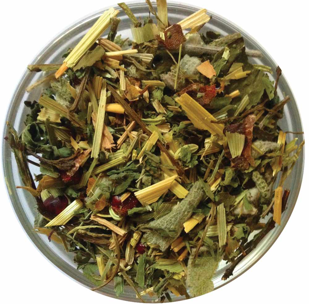 Nourishing Fennel Seed-Carob | Ein Gedi Blend - ShalvaTea Kosher Israeli Herbal Teas