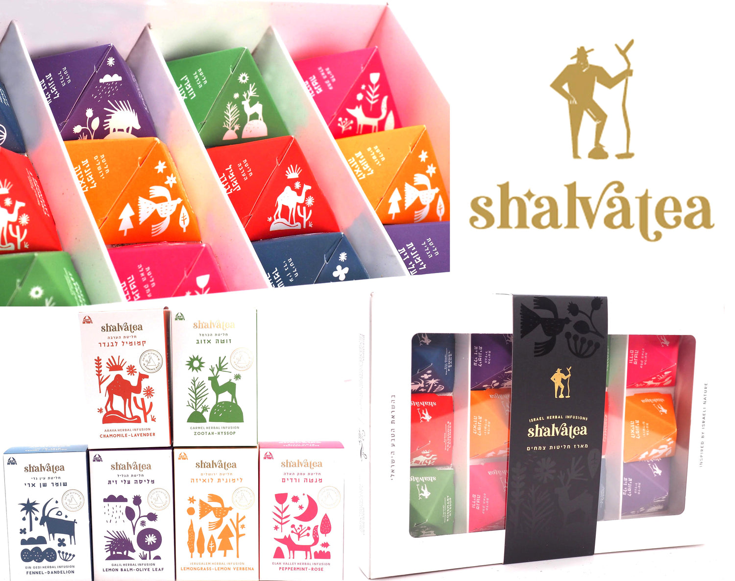 Pyramid Teabag Collection