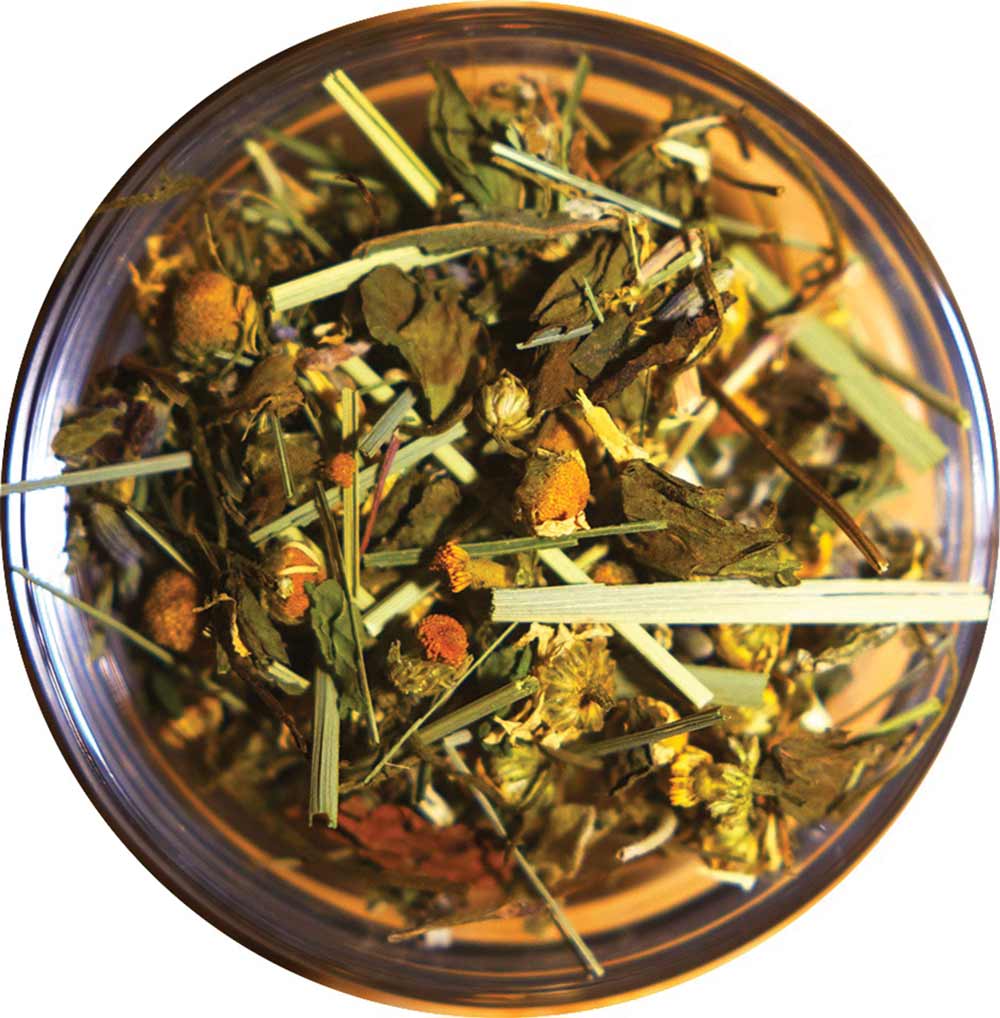 Calming Chamomile-Lavender | Arava Blend - ShalvaTea Kosher Israeli Herbal Teas