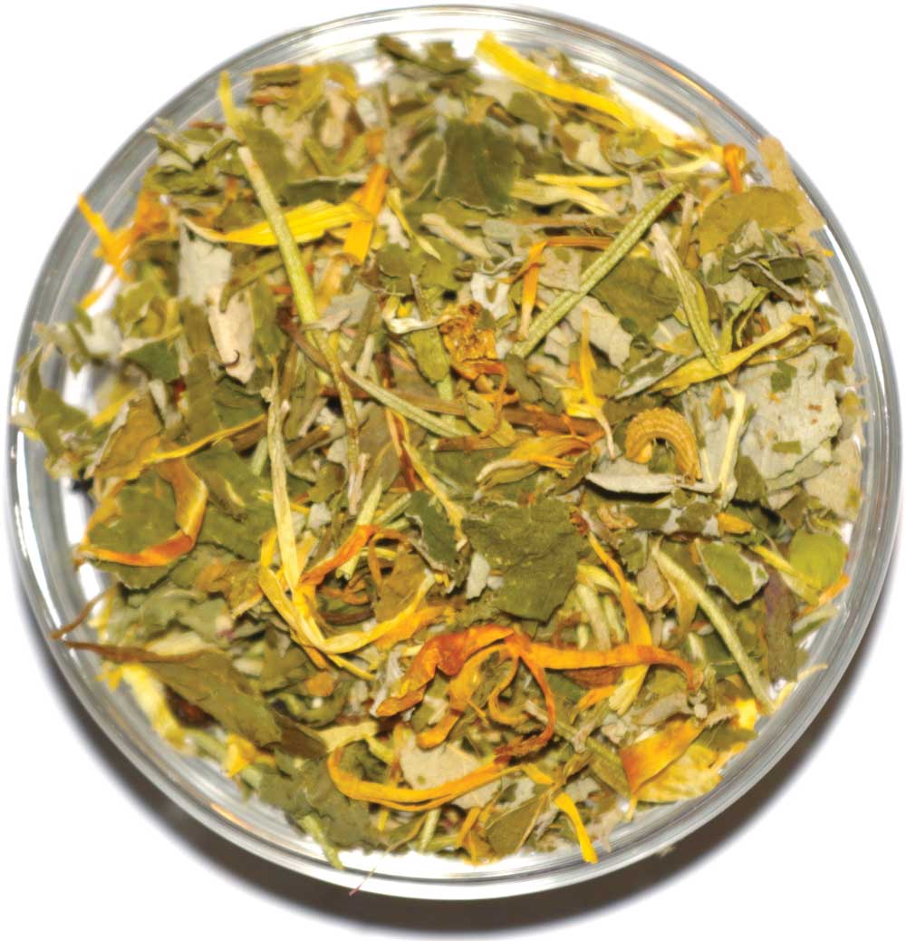 Rejuvenating Za'atar-Rosemary | Carmel Blend - ShalvaTea Kosher Israeli Herbal Teas