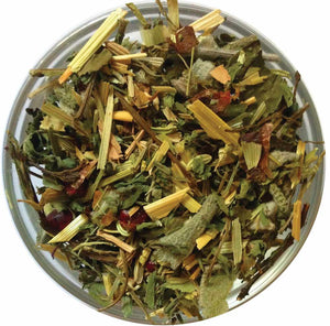 Nourishing Fennel Seed-Carob | Ein Gedi Blend - ShalvaTea Kosher Israeli Herbal Teas